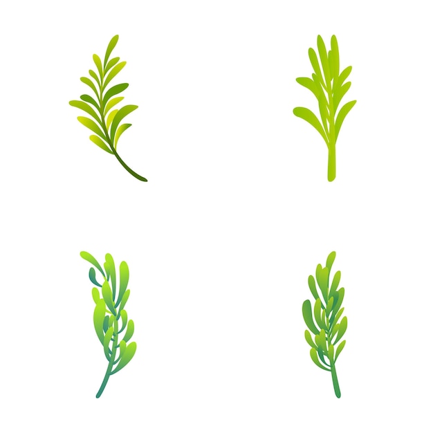 Вектор Иконы растений розмарина на набор мультфильмов вектор зеленый лист и ветвь розмарина