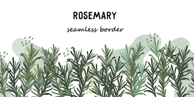 벡터 로즈마리 (rosemary) - 라벨 또는 식품 표지 터를 위해 손으로 그려진 터 경계