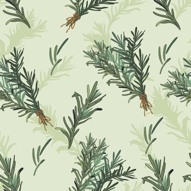 Rosemary spice and cooking herb seamless pattern design vector illustration