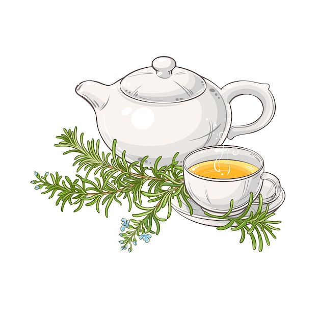 Vector rosemary tea illustration