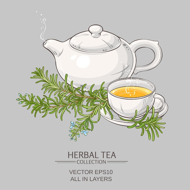 Vector rosemary tea illustration