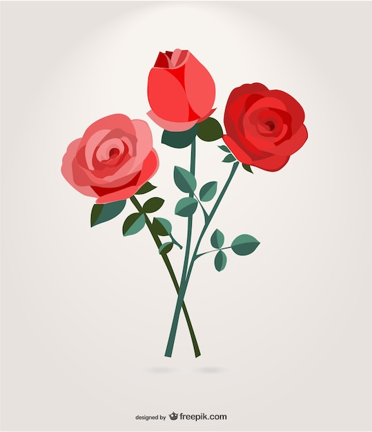 Vector roses bouquet graphic