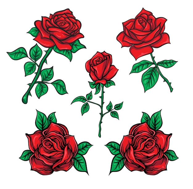 roses colored