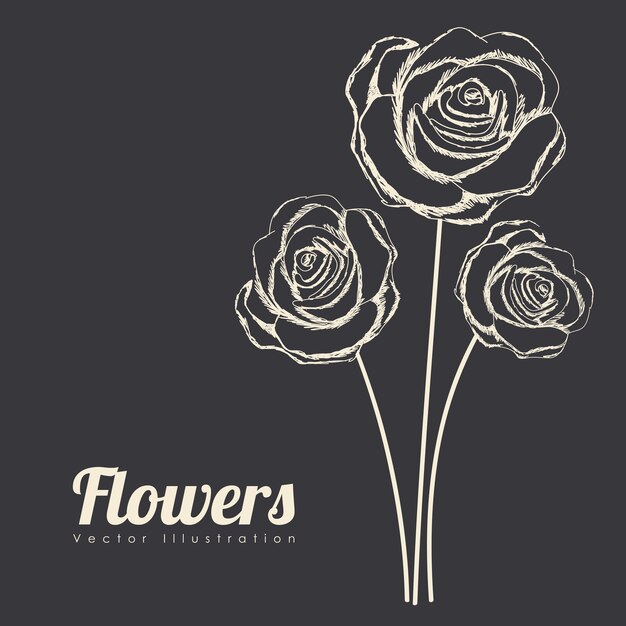 Roses design