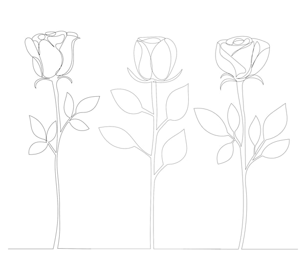 Roses drawing in one line on an abstract background vector