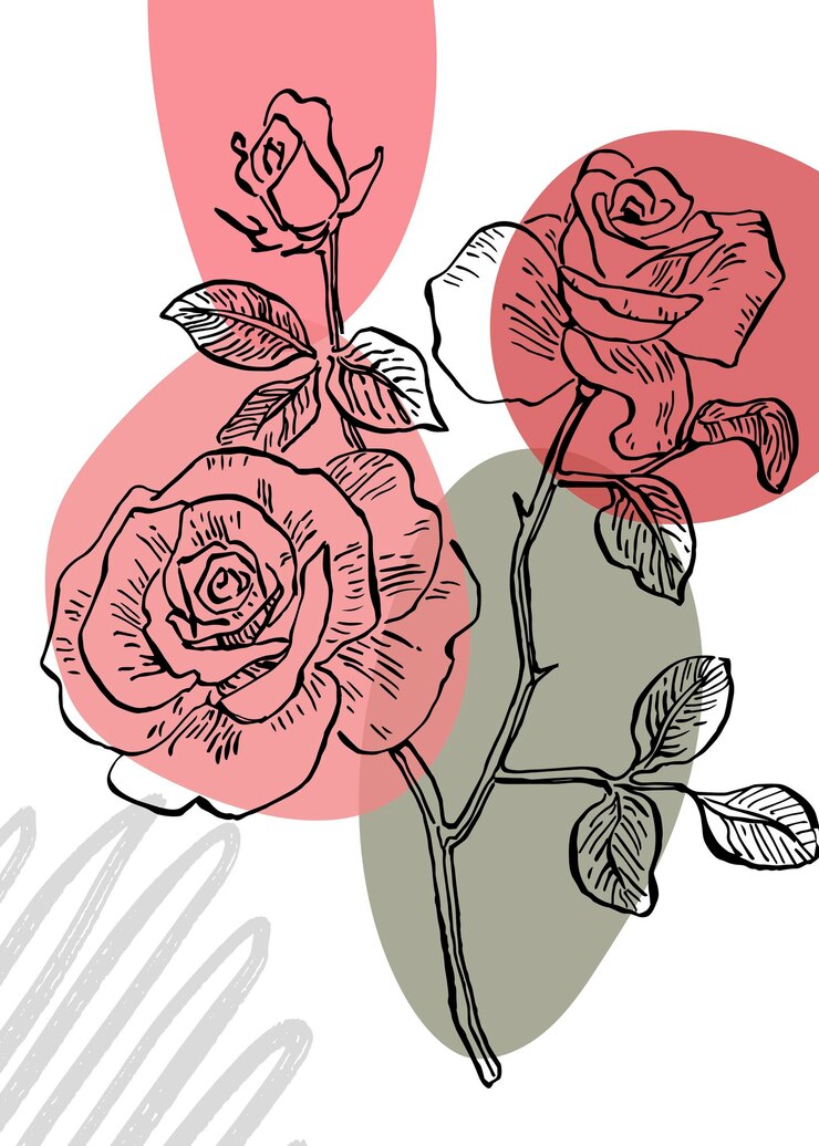 Vector roses hand painted illustrations for wall decoration minimalist flower in sketch style