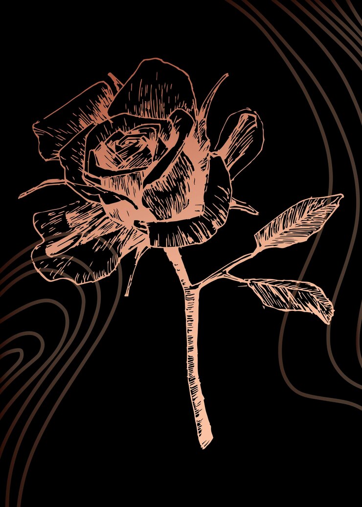 Vector roses hand painted illustrations for wall decoration minimalist flower in sketch style