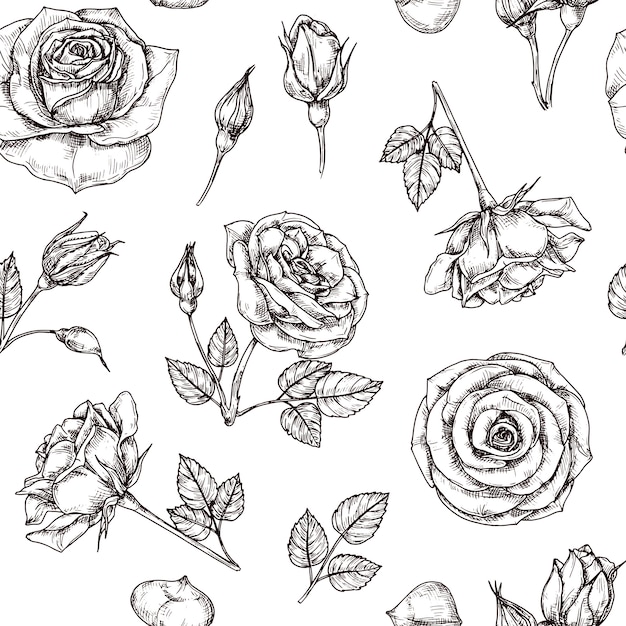 バラのシームレスなパターン。手描きのバラの花のモチーフ。花生地繰り返しベクトルヴィンテージ