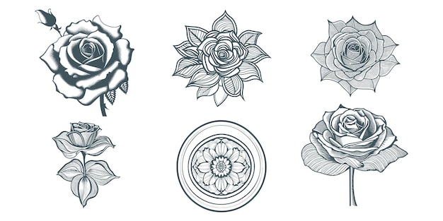 Vector roses vector with leaf line art three roses coloring page coloring book