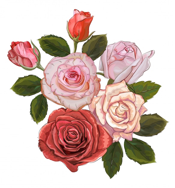 Vector roses vintage bouquet isolated on white background