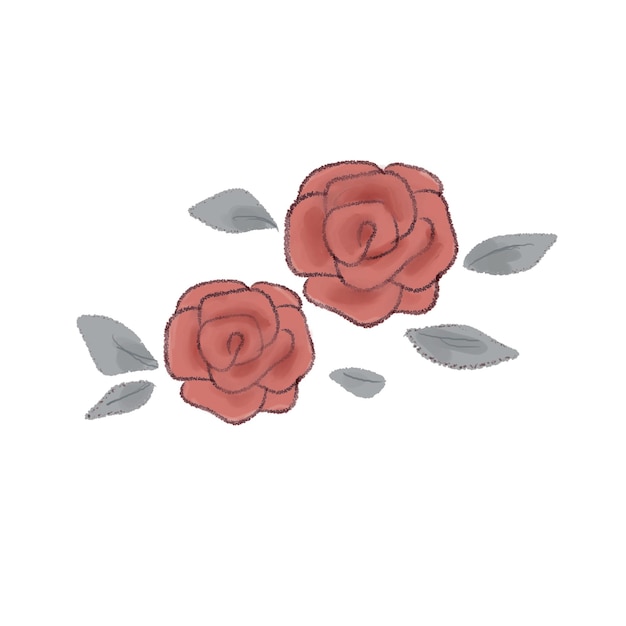 Vector roses. on a white background.