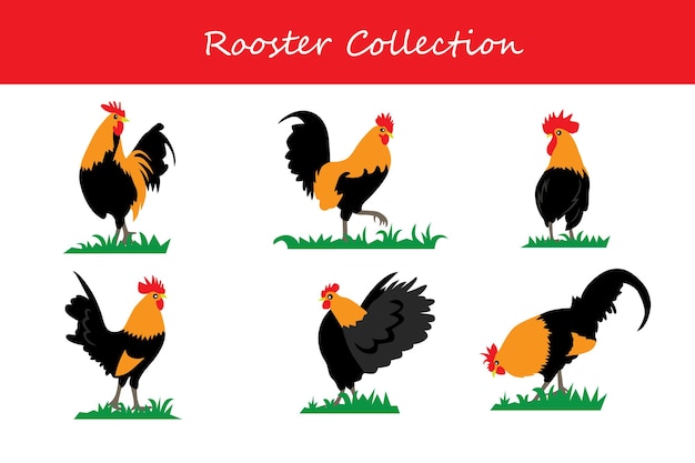 Vector roster cocks collection vector illustration