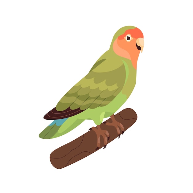 장밋빛 칼라의 복숭아 얼굴 잉꼬. 녹색 접힌 날개를 가진 작은 아프리카 앵무새. 나뭇가지에 앉아 있는 열대 새. 현실적인 평면 만화 벡터 일러스트 레이 션 흰색 배경에 고립