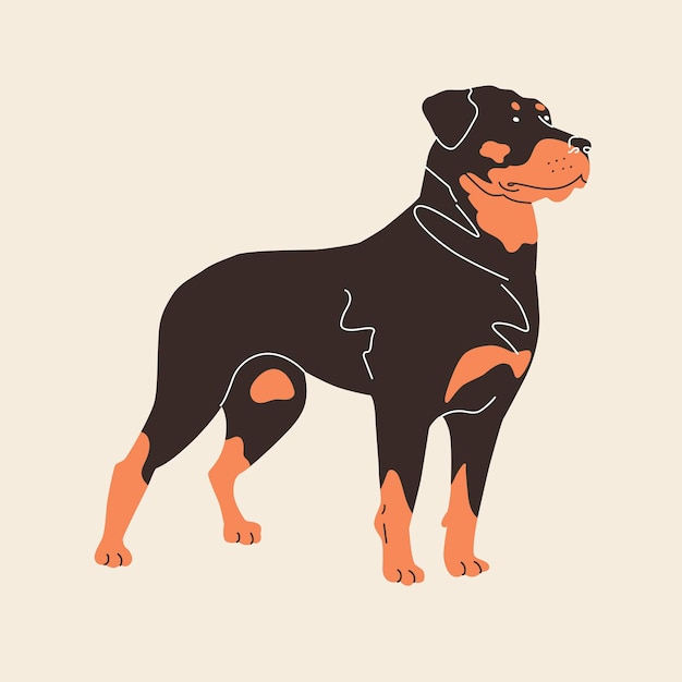 ロットワイラー犬が立っています。ベクトルイラスト。フラットスタイル。明るい背景で隔離。ファニーアニマル、ドッグラバー、パン、ホームパット、4本足の友達。ピン、ステッカー、動物園、ペットショップのデザイン。