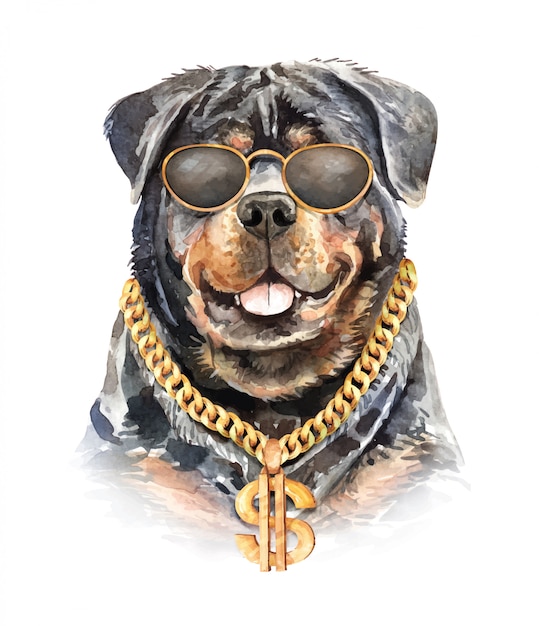 Vector rottweiler dog watercolor with chain necklace.