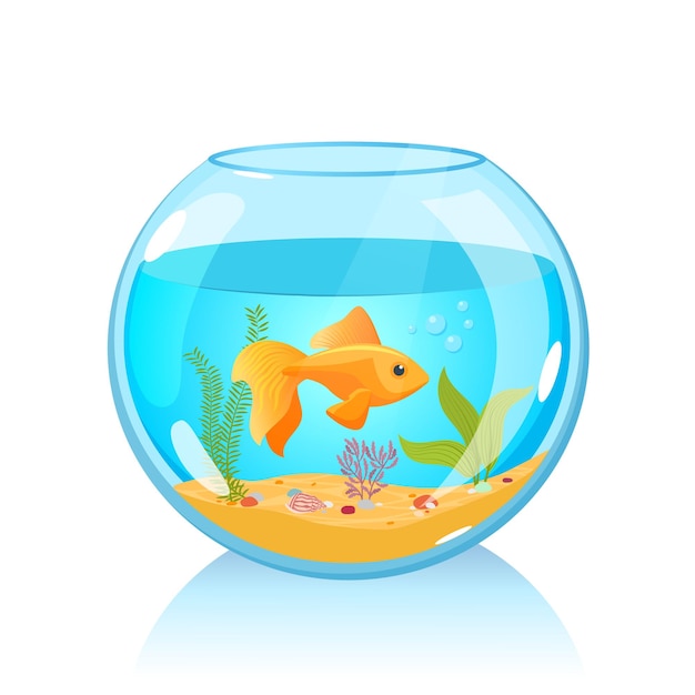 Vector round aquarium with goldfish isolated on white background