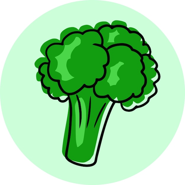 Vettore una carta rotonda un'icona da un set con verdure illustrazione vettoriale di broccoli verdi