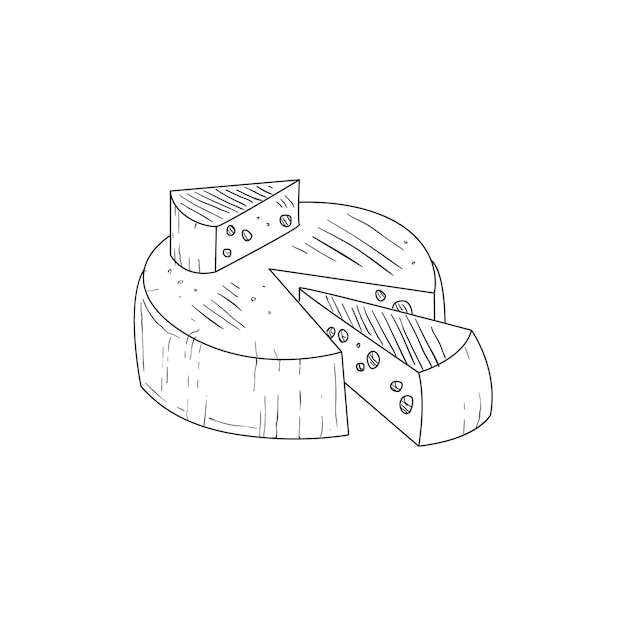 Round Cheese With A Segment Cut Out Hand Drawn Realistic Sketch