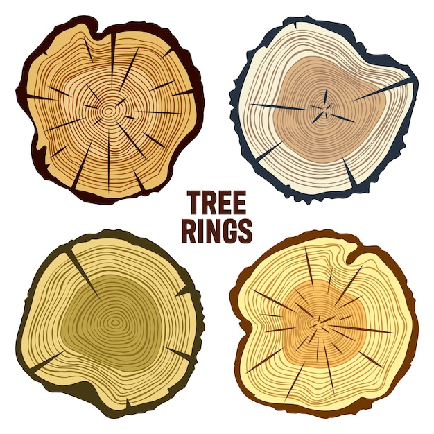 round colorful tree trunk cuts sawn pine or oak slices lumber saw cut timber wood brown wooden