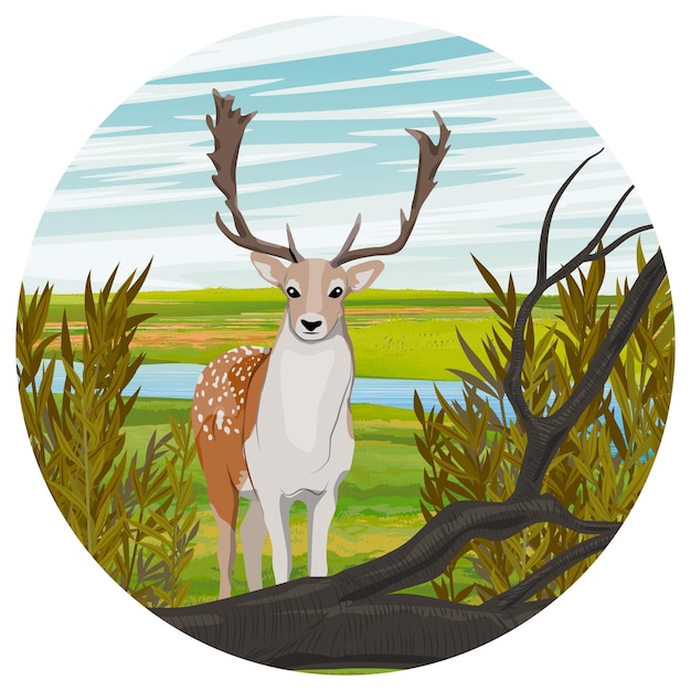 Round composition European fallow deer stands in a summer meadow with a river