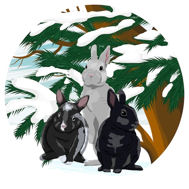 Round composition. Three rabbits are sitting in the snow under a spruce tree