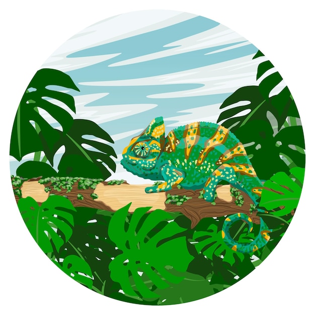 Вектор Круглая композиция завуалированный хамелеон сидит на большой ветке тропического дерева, покрытого мхом