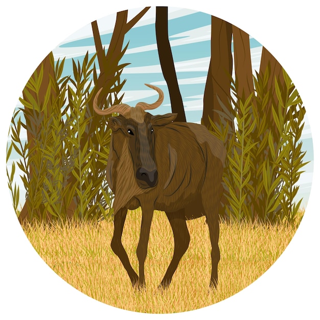 Round composition Wildebeest walks across the African avannah Realistic vector landscape