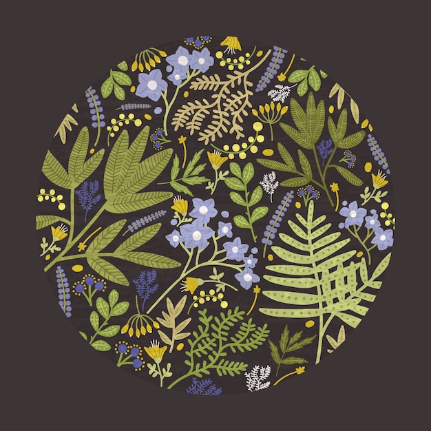 Vector round floral decorative design element, backdrop or decoration consisted of colorful wild blooming meadow flowers, flowering herbs and forest ferns on black background. natural illustration