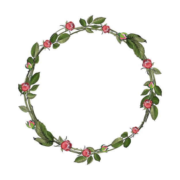 Round frame of branches with green leaves and roses buds on white background