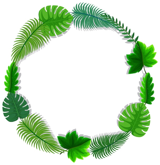 Round frame with tropical green leaves