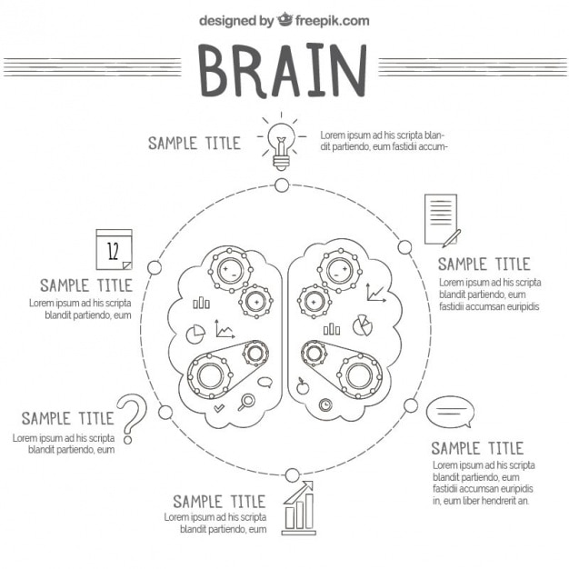 Vector round infographic of human brain with gears