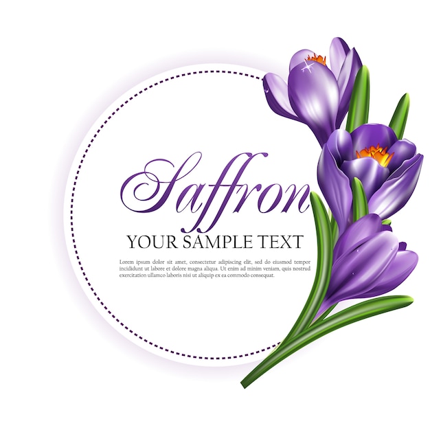 Round label card or invitation with saffron flowers