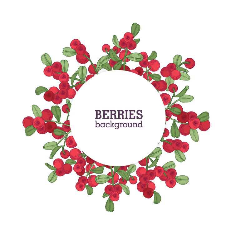 Vector round natural berries background