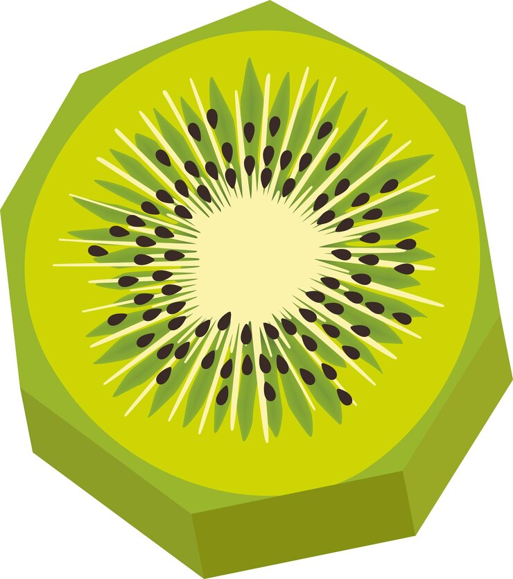 Vector round slice of fresh green kiwi