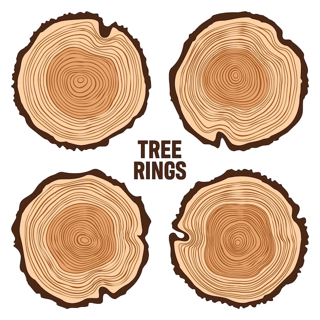 round tree trunk cuts sawn pine or oak slices lumber saw cut timber wood brown wooden texture with
