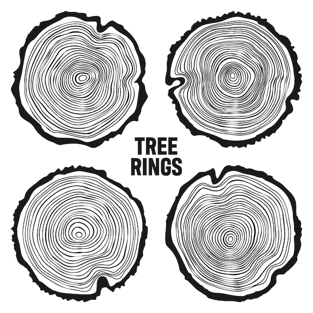 Vector round tree trunk cuts sawn pine or oak slices lumber saw cut timber wood wooden texture with tree