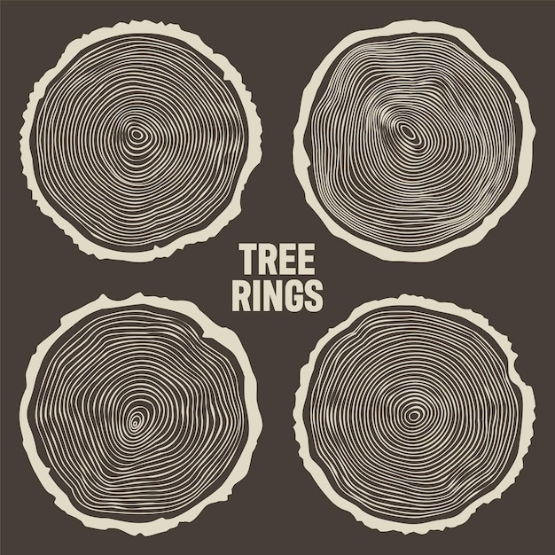 ベクトル 丸い木の幹の切断 松やオークの切断 木材の切断 木材の茶色の木材の質感