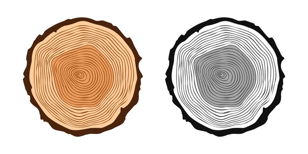 Vettore tagli di tronchi rotondi di alberi di vari colori segati fette di pino o quercia legname legno tagliato a sega legno legno marrone consistenza di legno con anelli di albero schizzo disegnato a mano illustrazione vettoriale