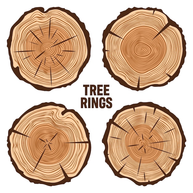 Vector round tree trunk cuts with cracks sawn pine or oak slices lumber saw cut timber wood brown wooden