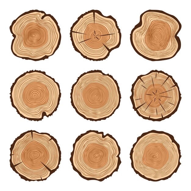 Vector round tree trunk cuts with cracks sawn pine or oak slices lumber saw cut timber wood brown wooden