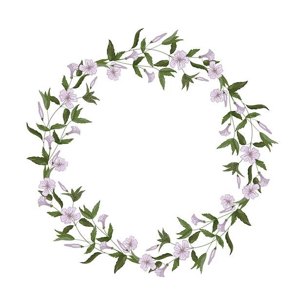 Round wreath of blooming herbs and plants Wild medicinal flowers for card invitation tea labels