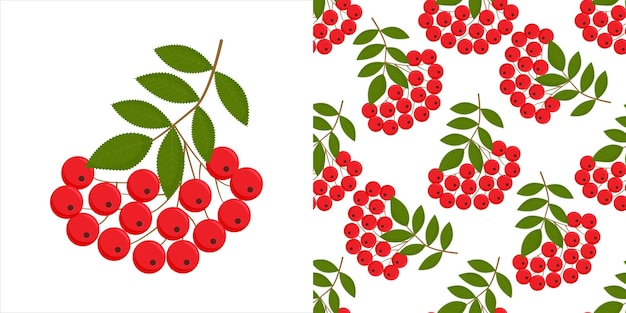 Rowan berries isolated rowan on white background seamless colorful autumn pattern with rowan