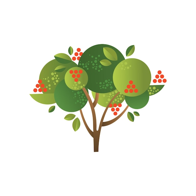 Rowan garden tree with ripe berries vector illustration on a white background