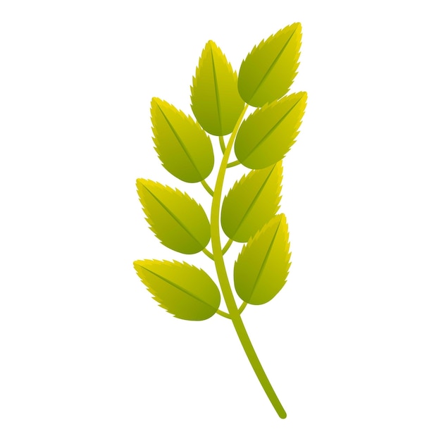 벡터 마가목 잎 아이콘 흰색 배경에 고립 된 웹 디자인을 위한 마가목 잎 벡터 아이콘의 만화