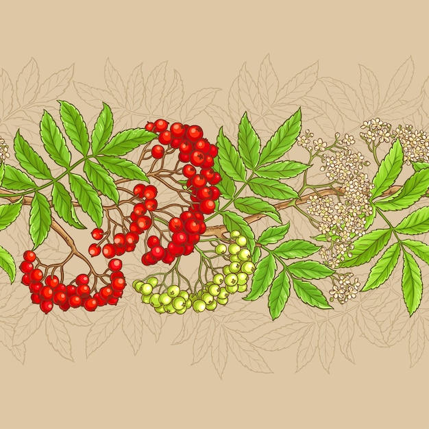 Rowan vector pattern