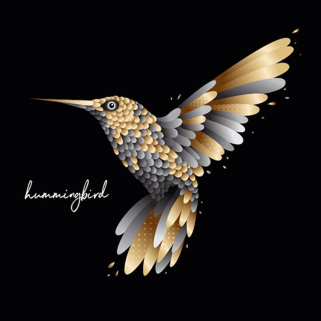 Royal hummingbird