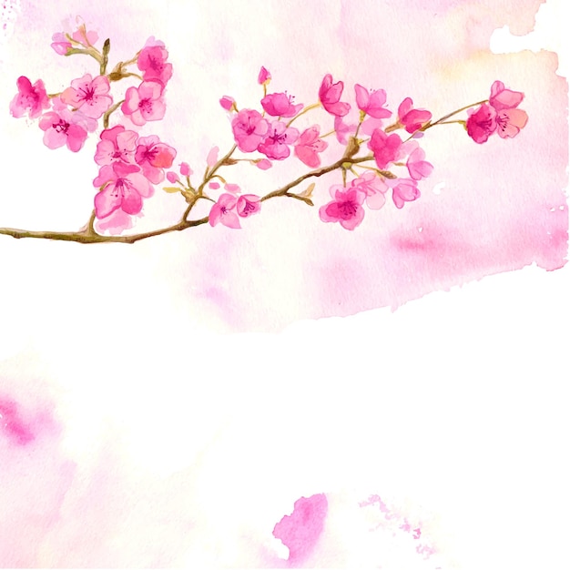 Roze achtergrond met aquarel tak van kersenbloesem. Vectorillustratie van sakura.