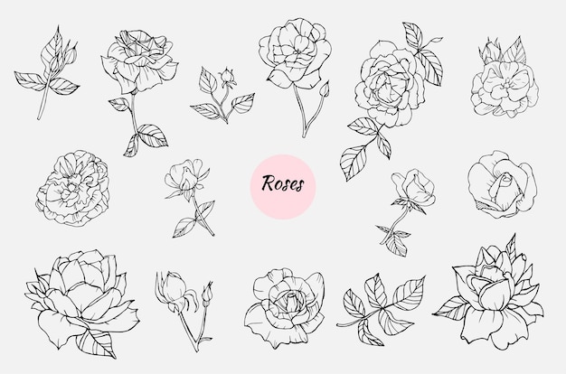 Roze bloemen instellen. hand getrokken schets stijl illustratie