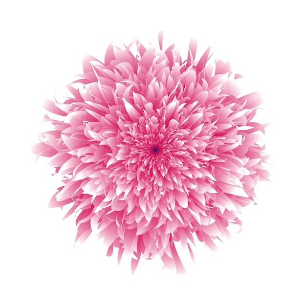 Roze bloemenmix vectorontwerp. Realistische bloemillustratie.