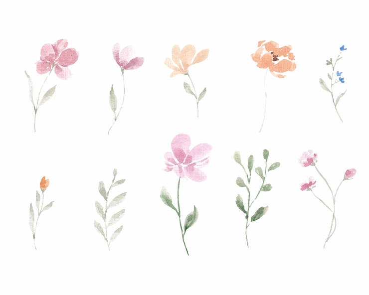Vector roze en gele wilde waterverfbloem